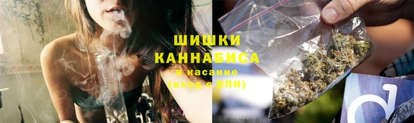 стаф Гусь-Хрустальный