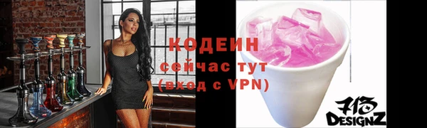 дмт Гусев