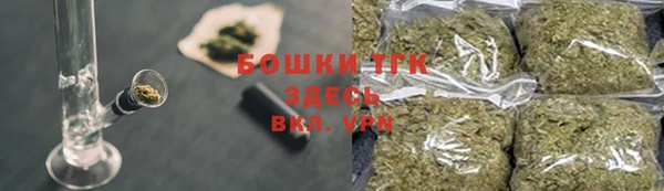 дмт Гусев