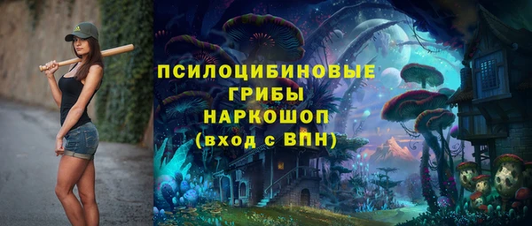 стаф Гусь-Хрустальный