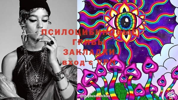 стаф Гусь-Хрустальный