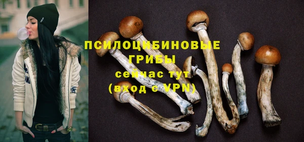 дмт Гусев