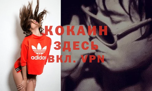 стаф Гусь-Хрустальный