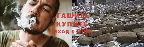 стаф Вязьма