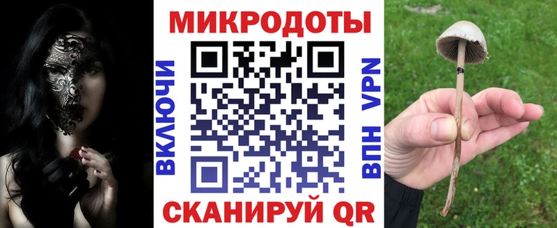 Псилоцибиновые грибы Cubensis  ОМГ ОМГ как войти  Дмитров 
